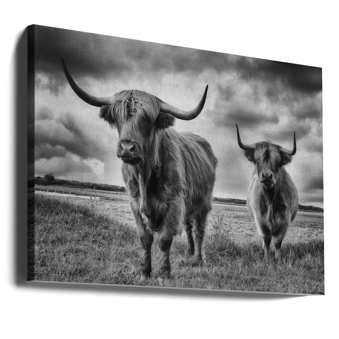 Höglandet | Canvas