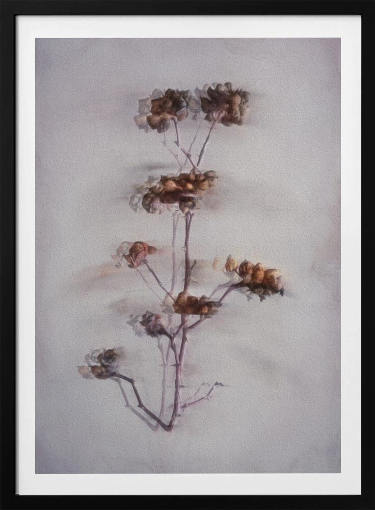 The Decay | Poster
