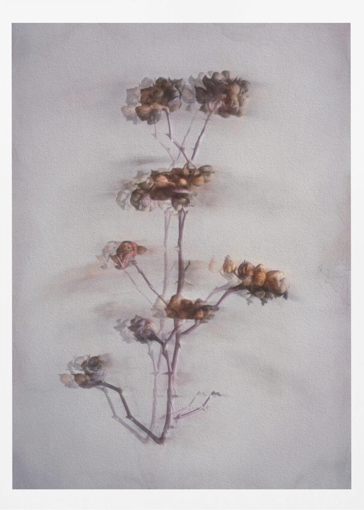 The Decay | Poster