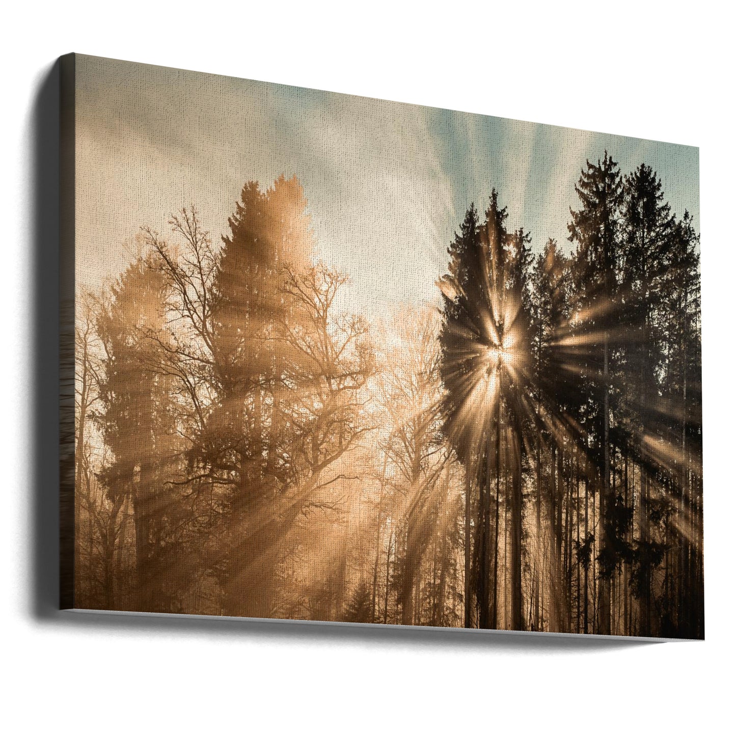 Fading away | Canvas