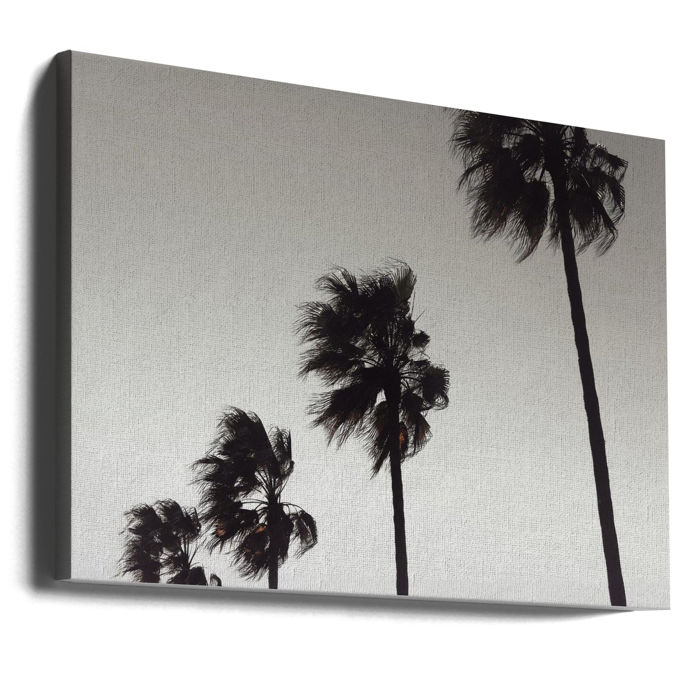 Palm_004 | Canvastaulut