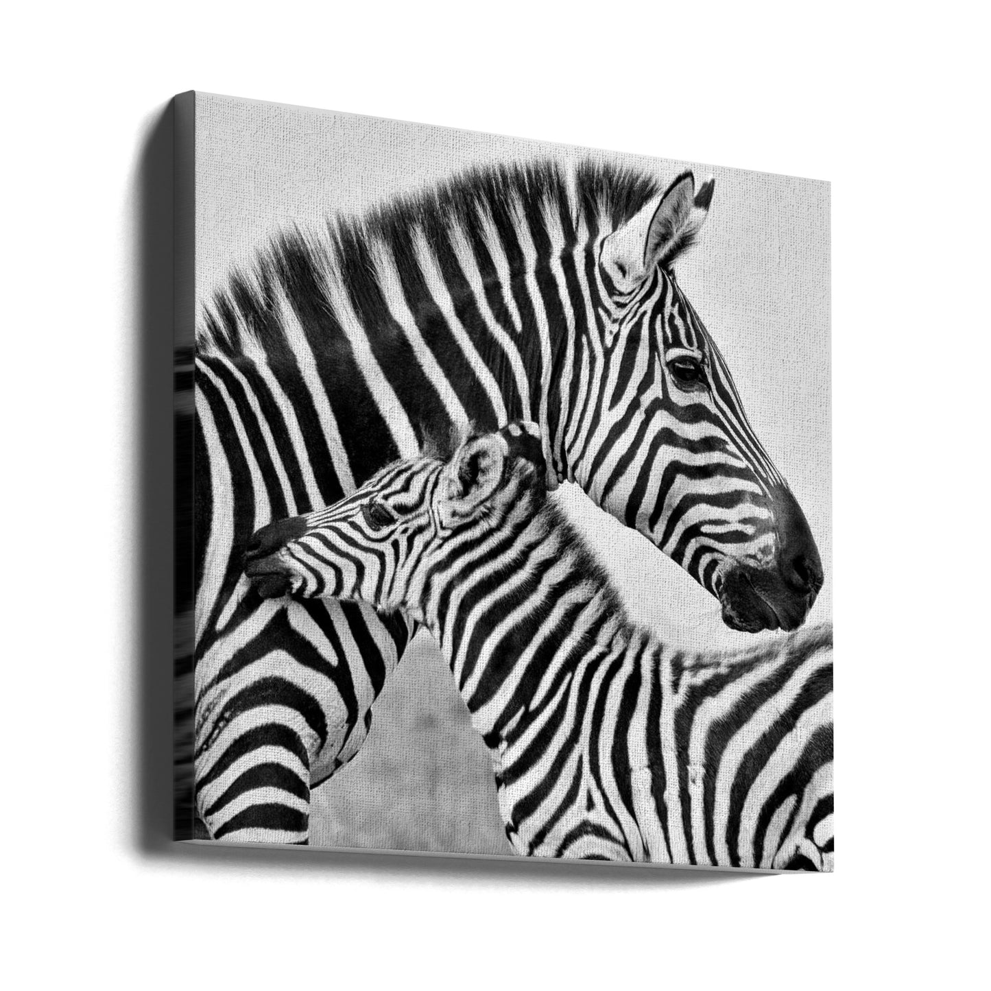 Love | Canvas