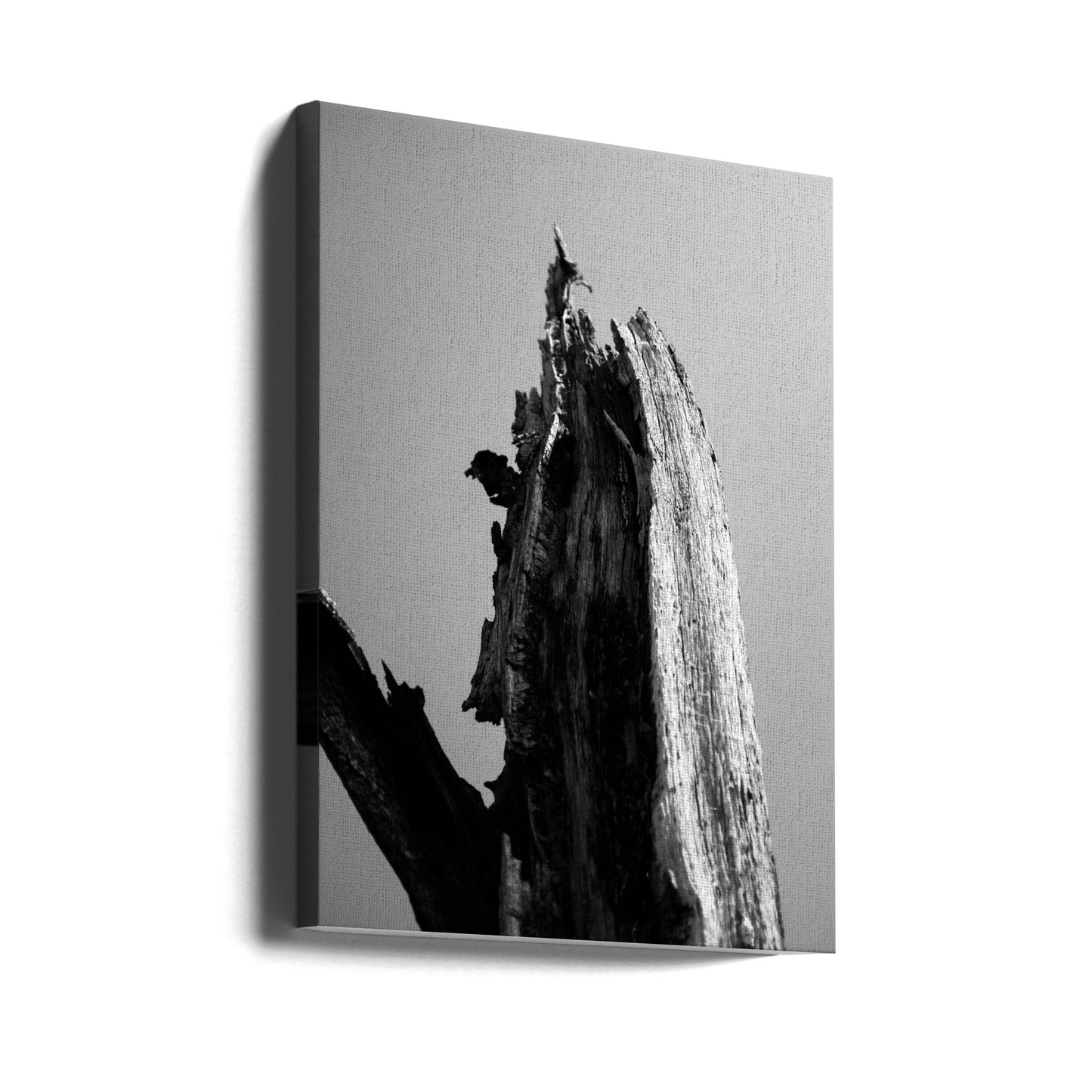 Våtmarker 1 | Canvas