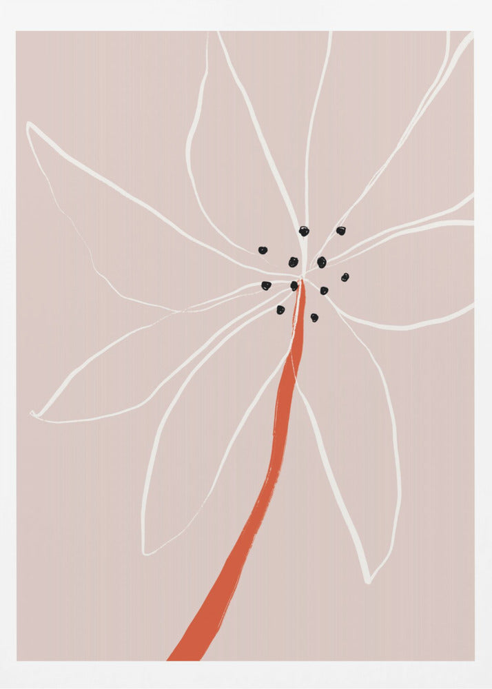 Delicate Abstract Flower with White Petals | Poster