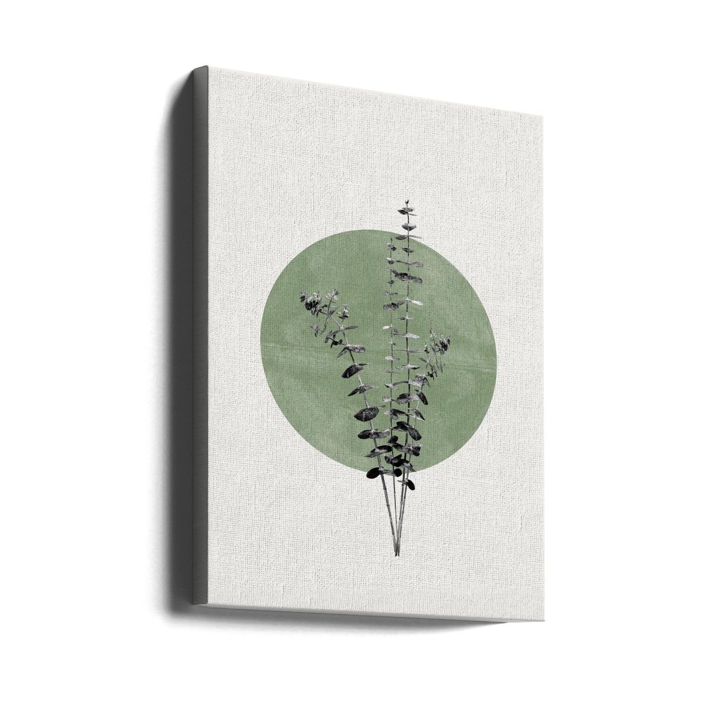 Eucalyptus en Groene Maan | Canvasprints