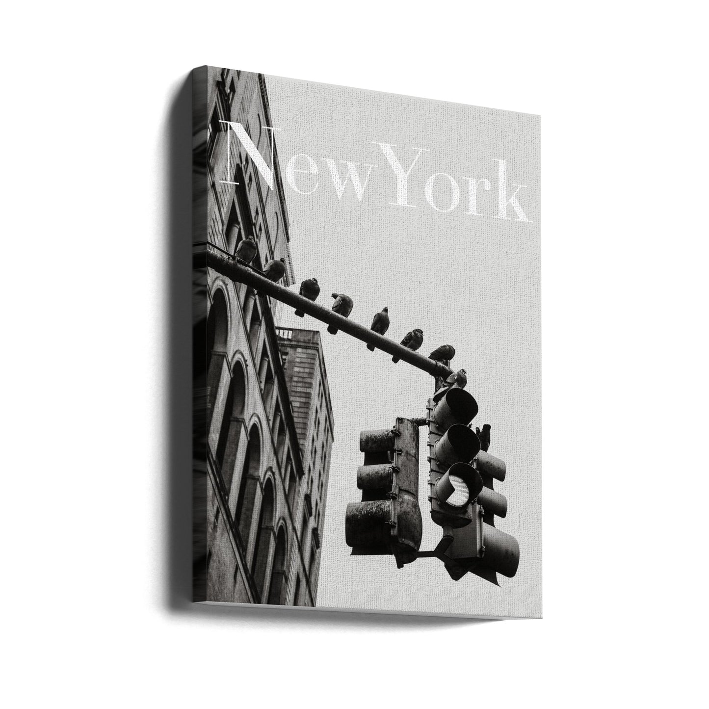 Colombe di New York | Stampe su Tela