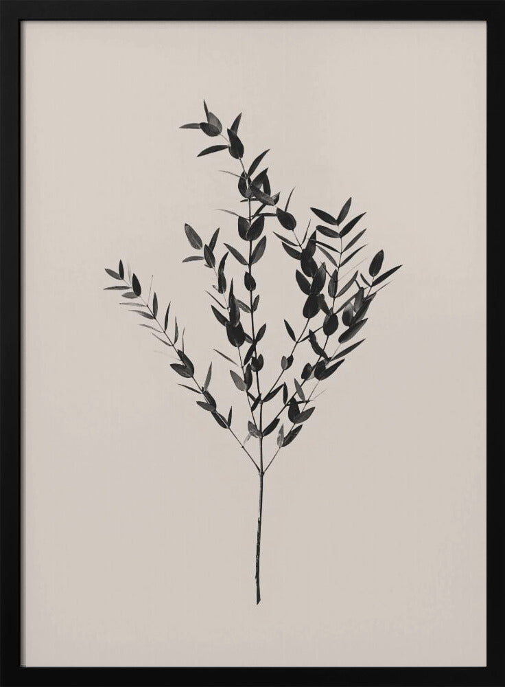 Botanico Inchiostro | Poster - Stampe d’Arte