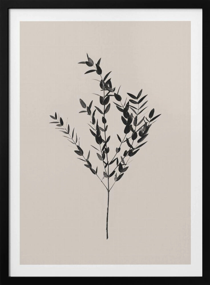 Botanico Inchiostro | Poster - Stampe d’Arte
