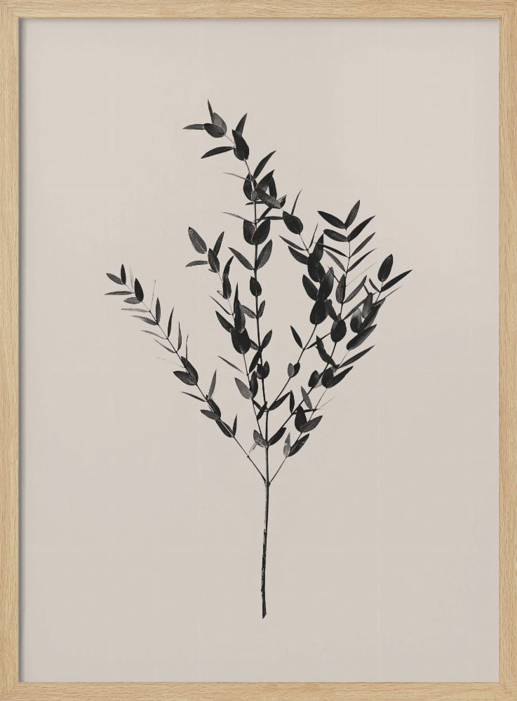 Botanico Inchiostro | Poster - Stampe d’Arte