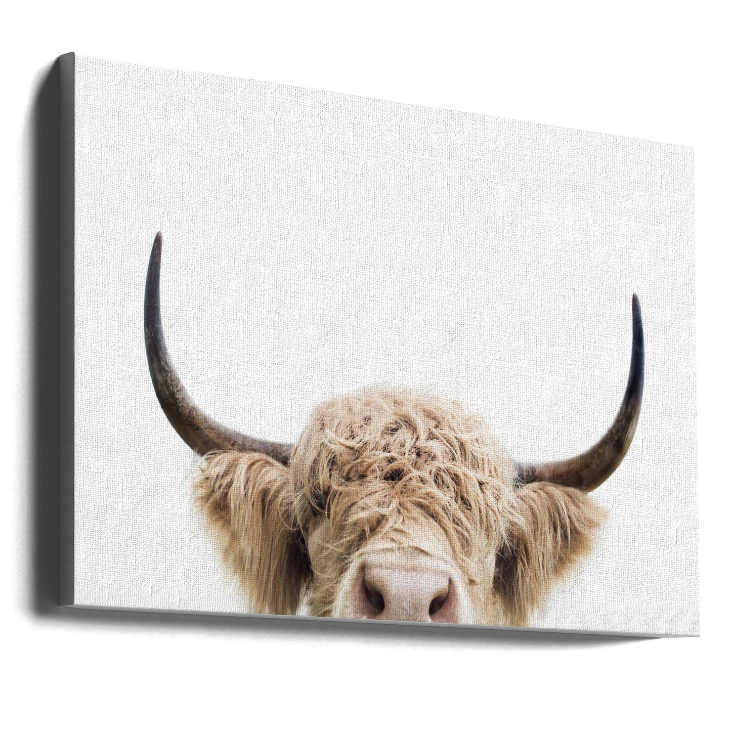 Kikande Ko | Canvas