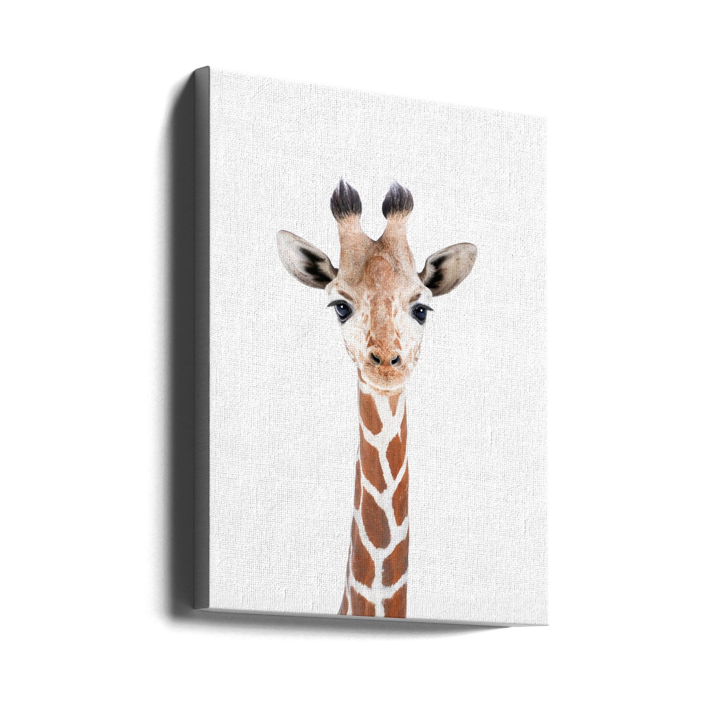 Giraffunge | Canvas