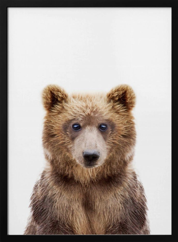 Bébé ours | Posters - Affiche Artistique