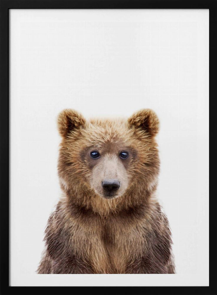 Bébé ours | Posters - Affiche Artistique
