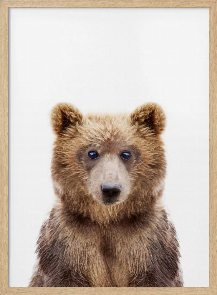 Bébé ours | Posters - Affiche Artistique