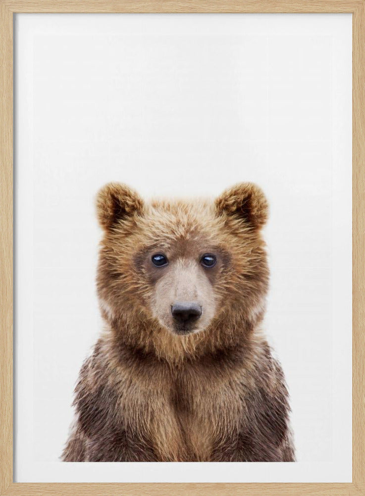 Bébé ours | Posters - Affiche Artistique
