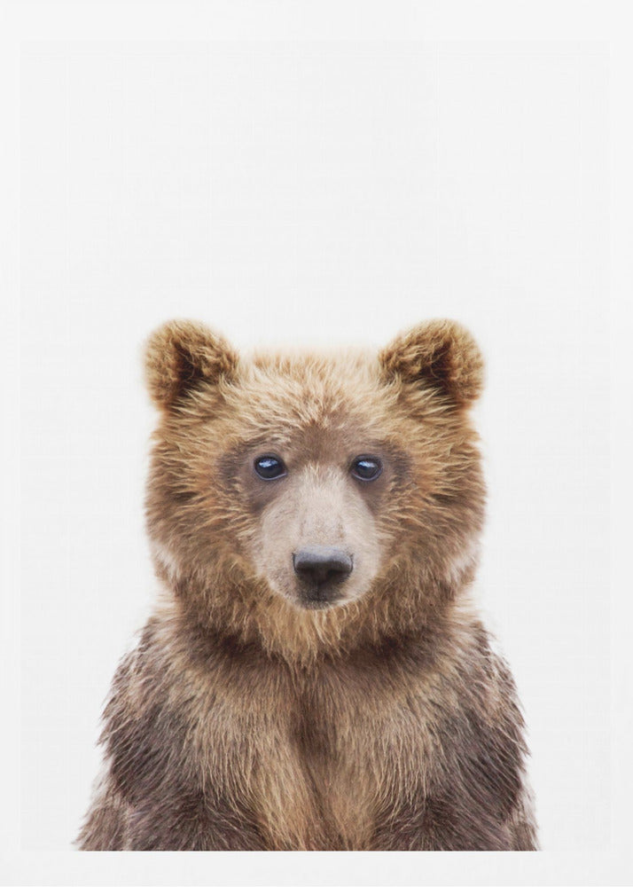 Bébé ours | Posters - Affiche Artistique
