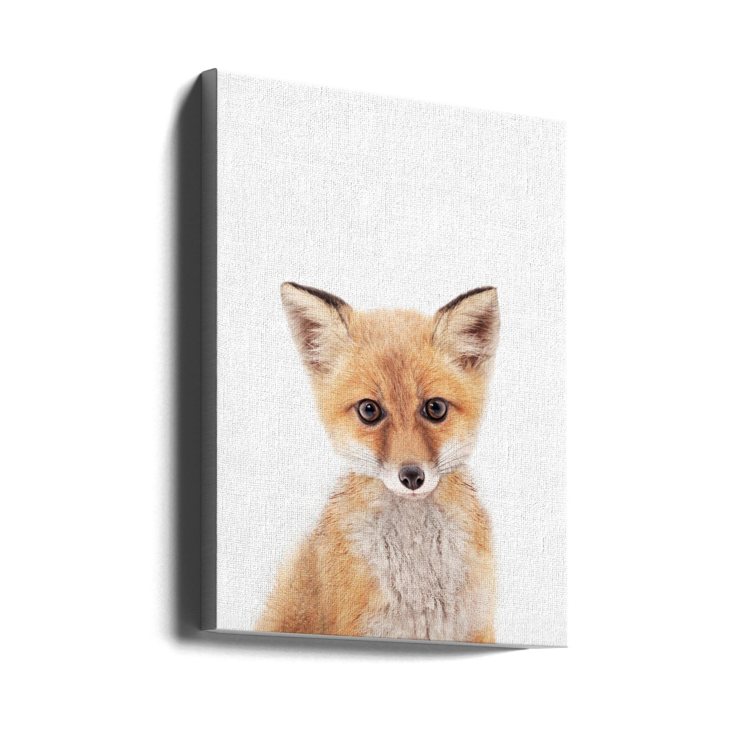 Lilla Räven | Canvas