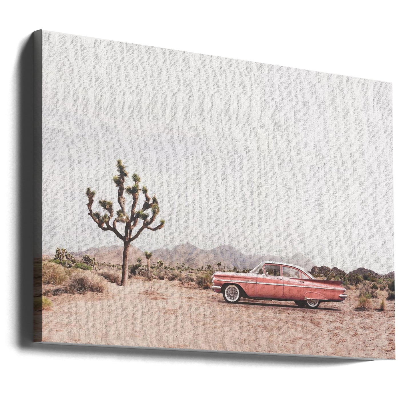 I öknen | Canvas