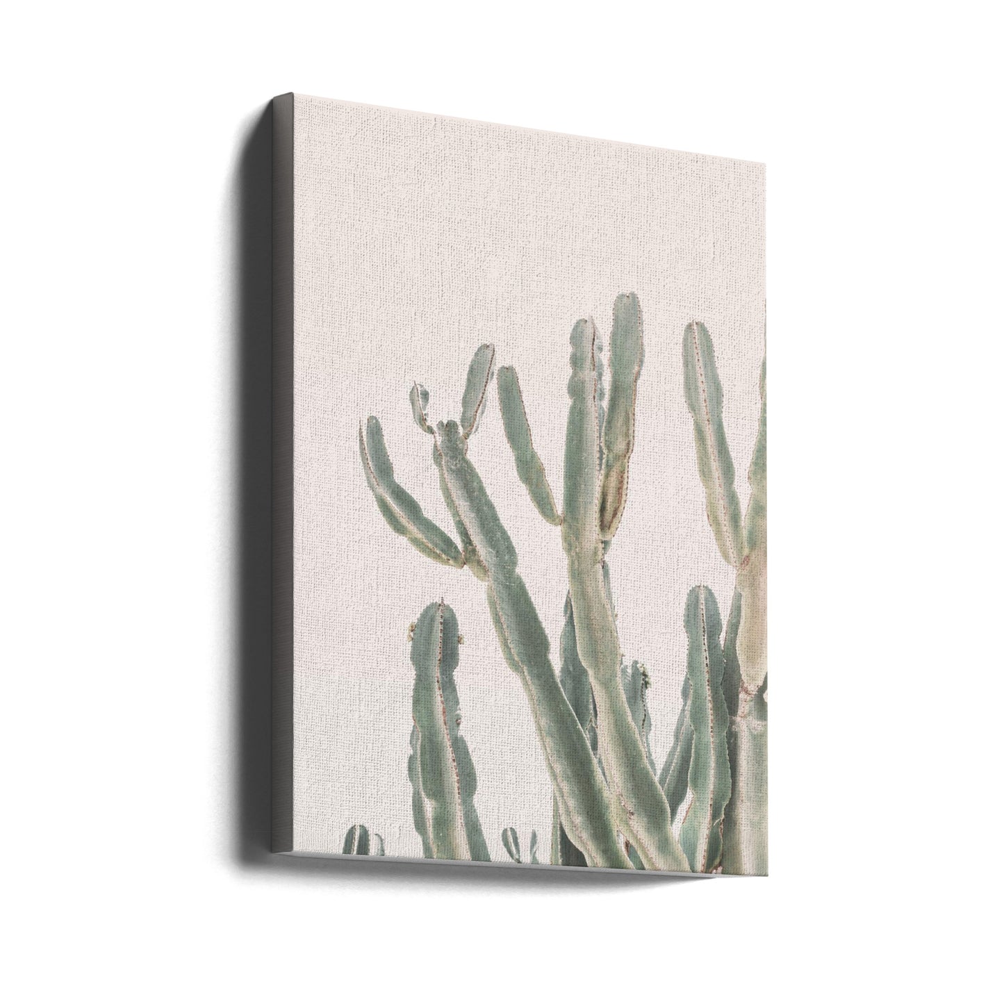 Soluppgångskaktus | Canvas