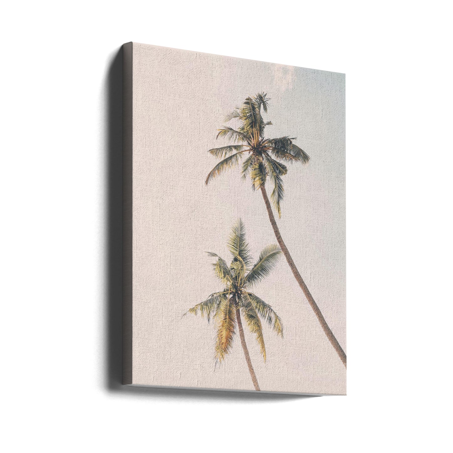 Tropiska palmer | Canvas