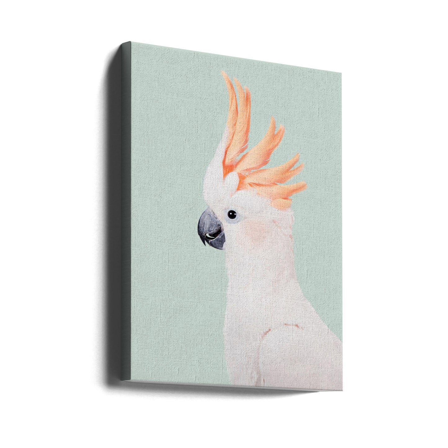 Kakadua | Canvas