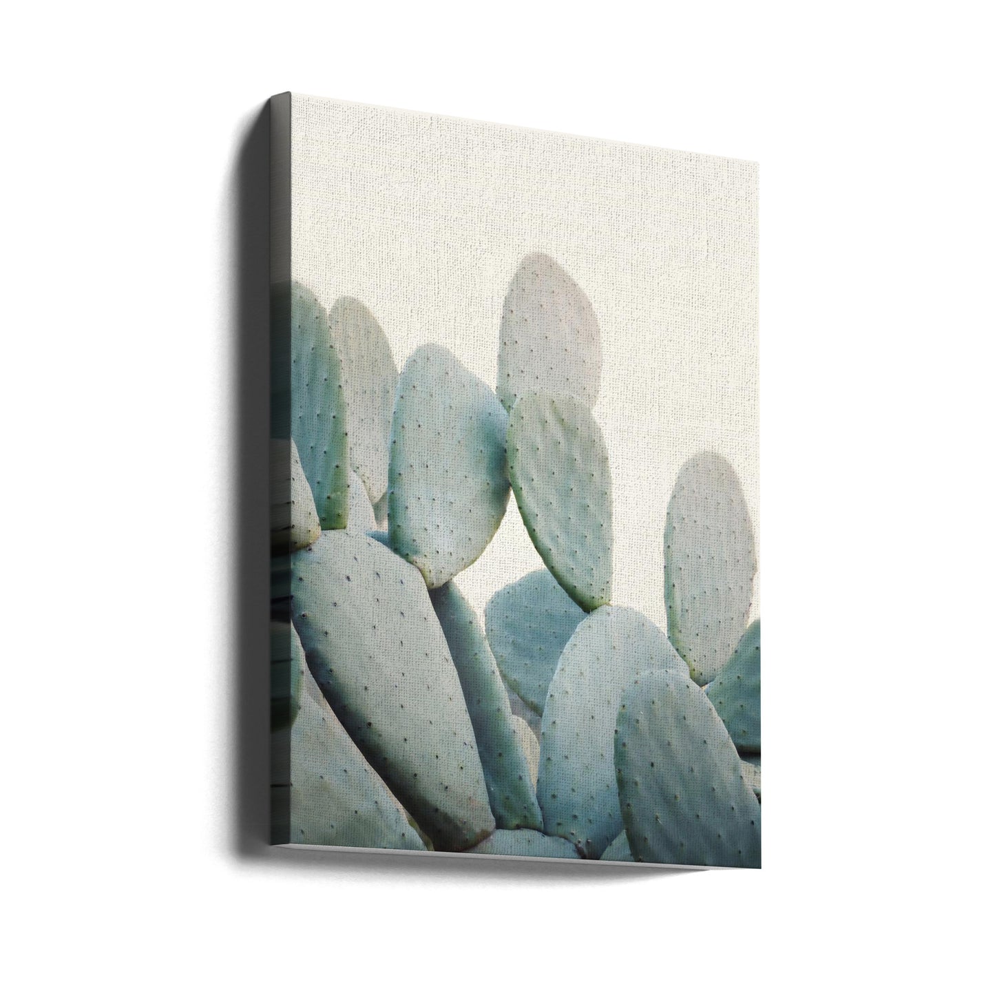 Pastellkaktusar | Canvas