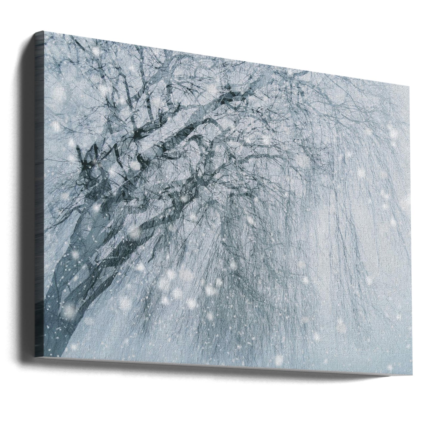 Winterbaum | Leinwand-Bilder