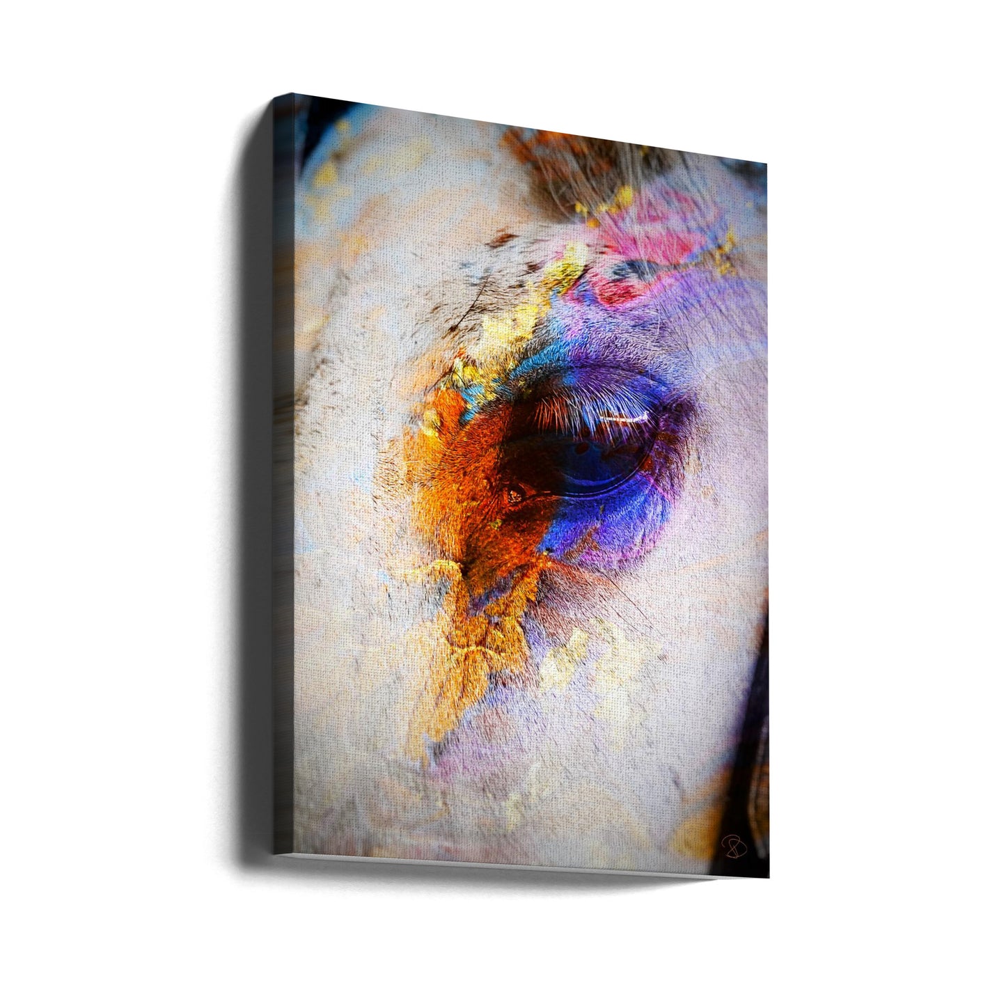 Geschilderd paard | Canvasprints