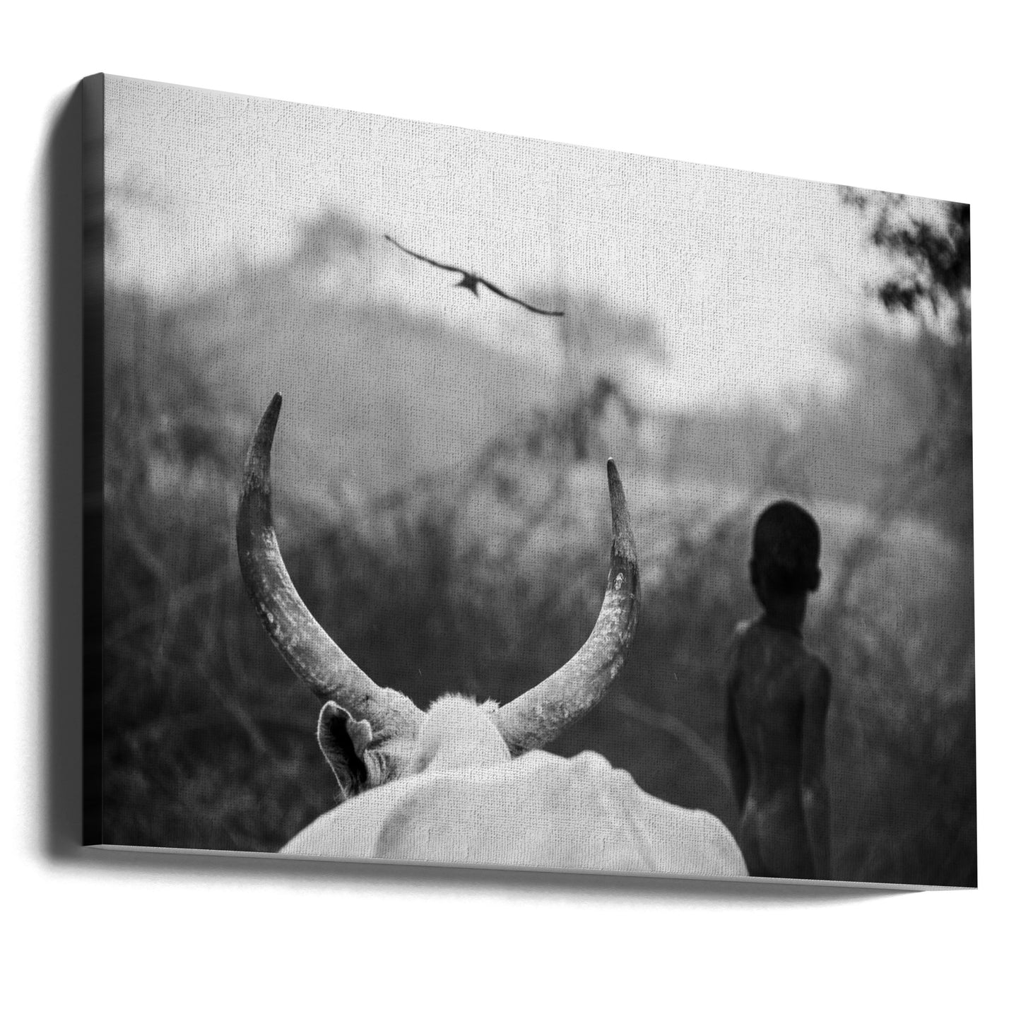 Boy and Cow | Canvas