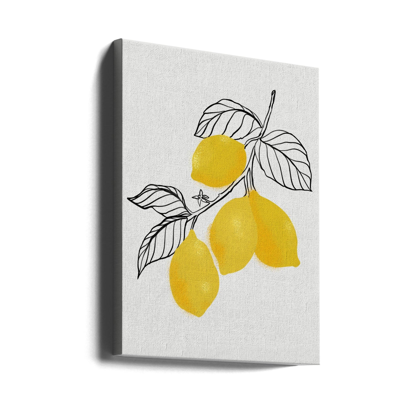 Citroner | Canvas