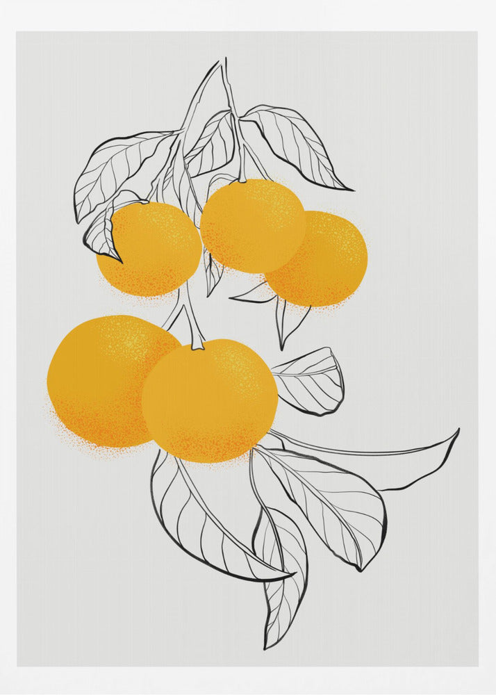 Oranges Mabel | Affiche