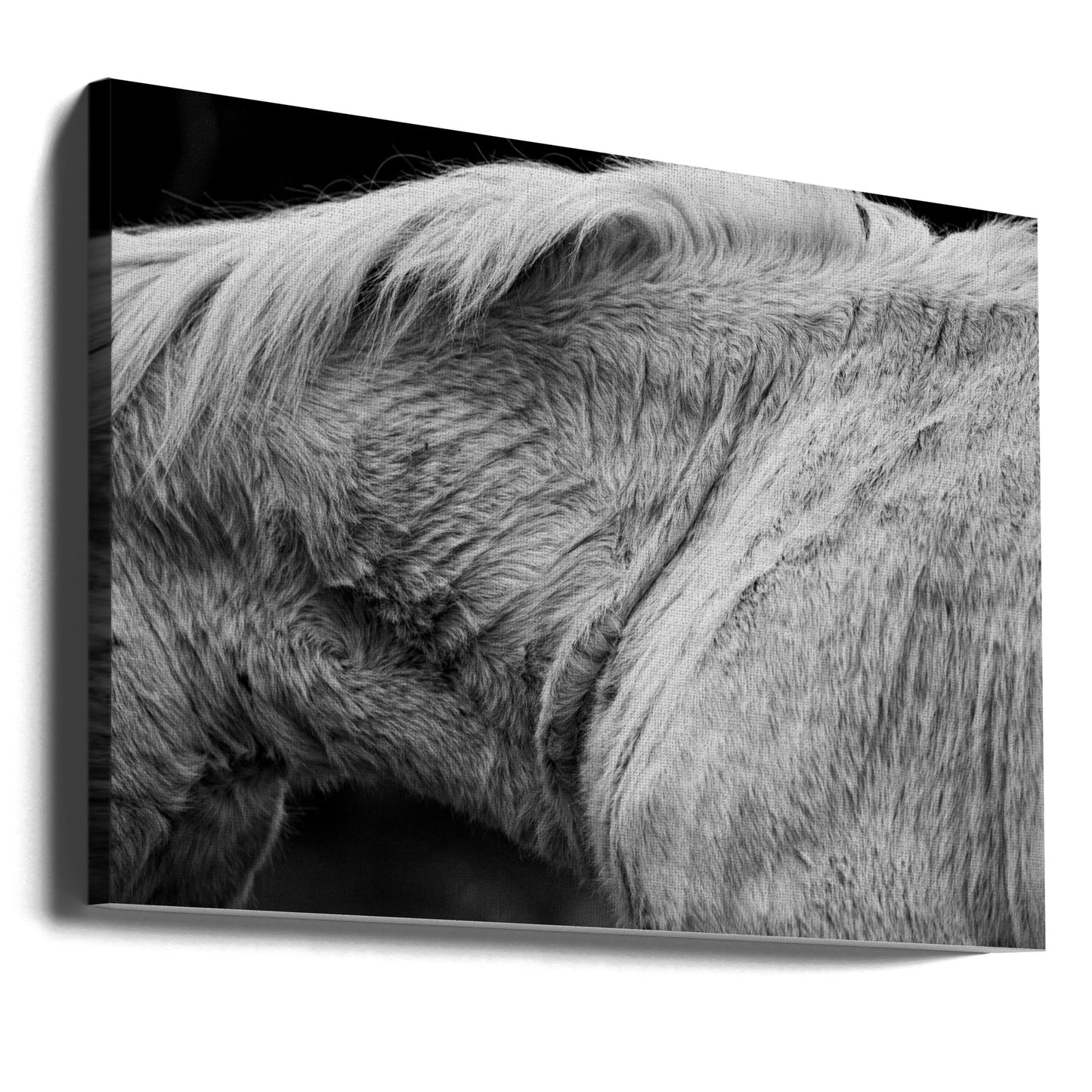 Häst II | Canvas