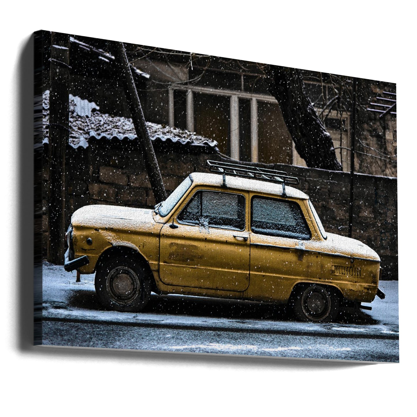 Zaporizjzjets | Canvas