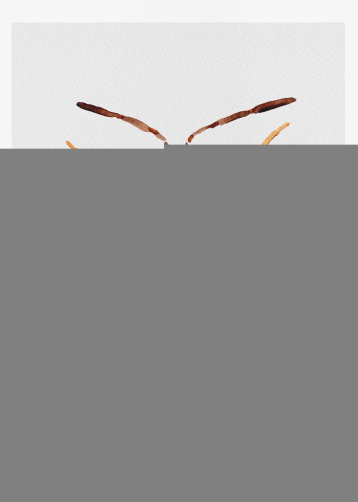 Dirt-colored seed bug or Rhyparochromus vulgaris | Poster