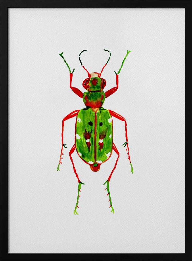 Green tiger beetle or Cicindela campestris | Poster