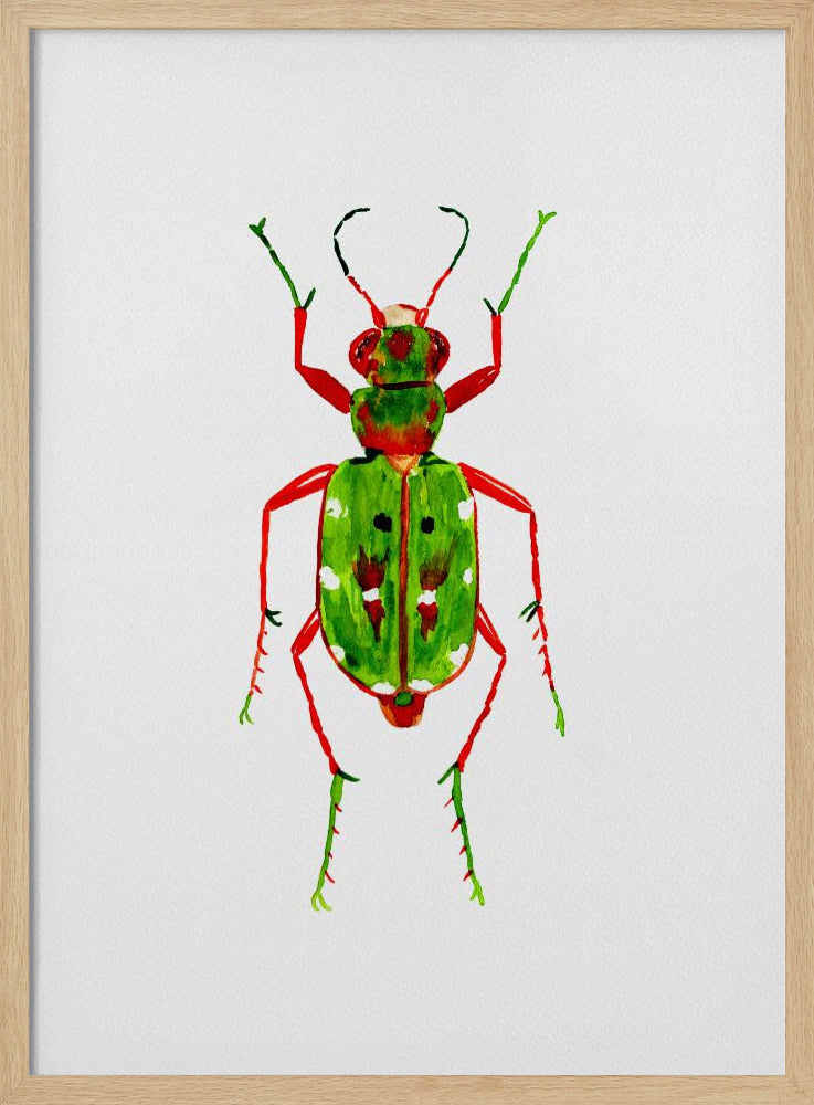 Green tiger beetle or Cicindela campestris | Poster