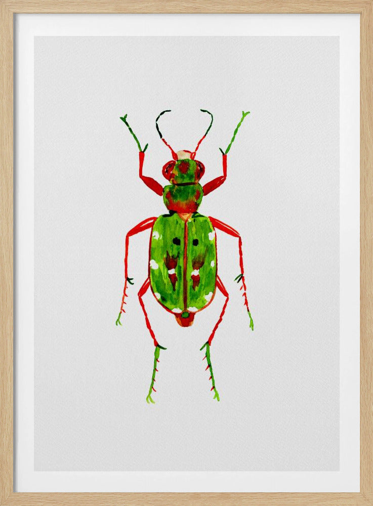 Green tiger beetle or Cicindela campestris | Poster