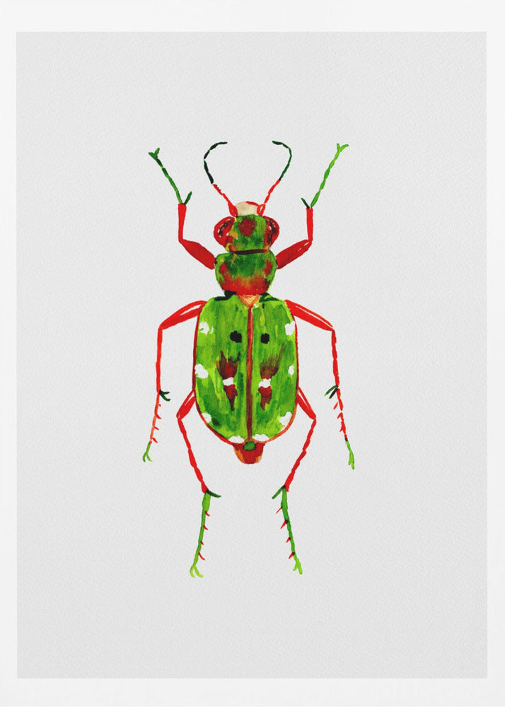 Green tiger beetle or Cicindela campestris | Poster