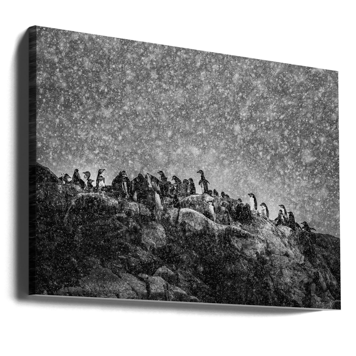 Tempête antarctique | Tableaux sur Toile