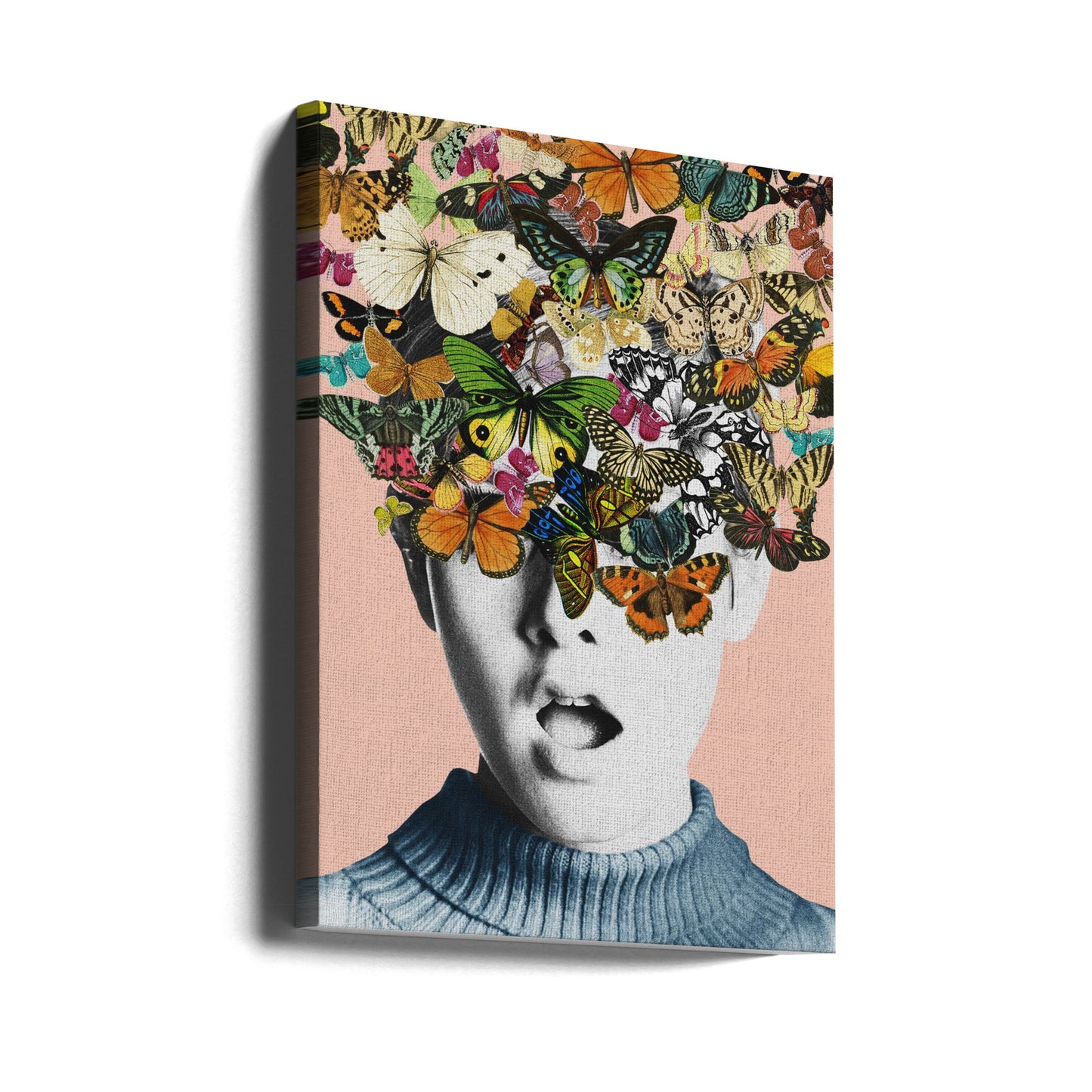 La sorpresa di Twiggy | Stampe su Tela