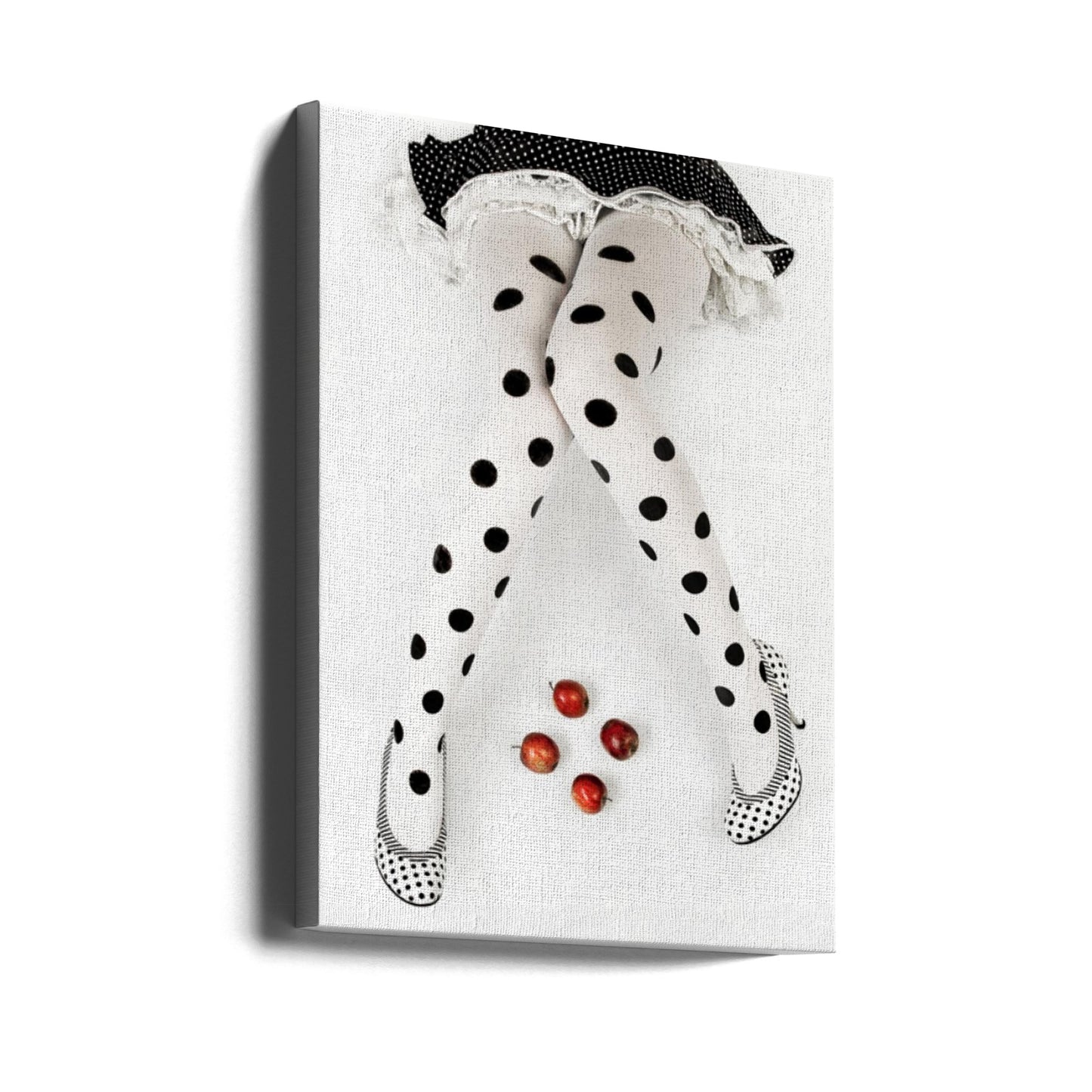 dotted | Canvas