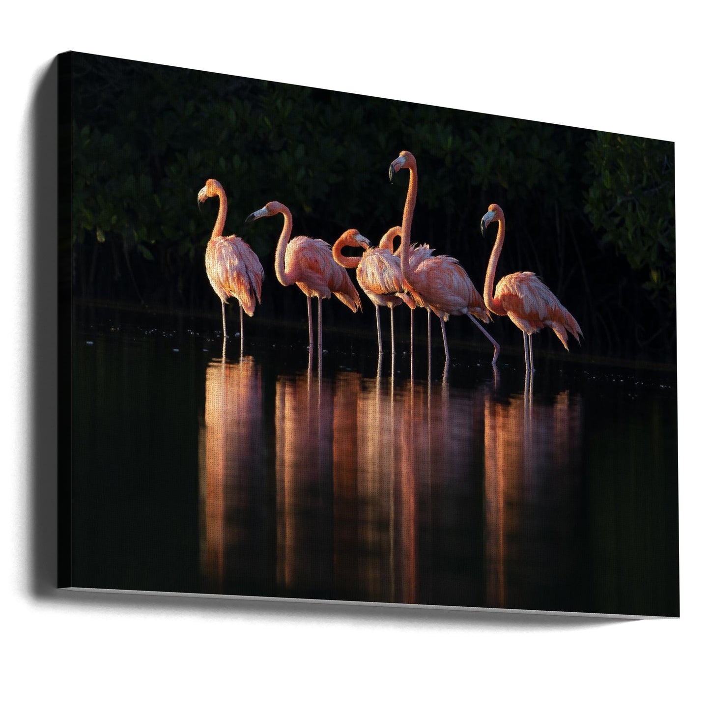 Pink Dawn | Canvas