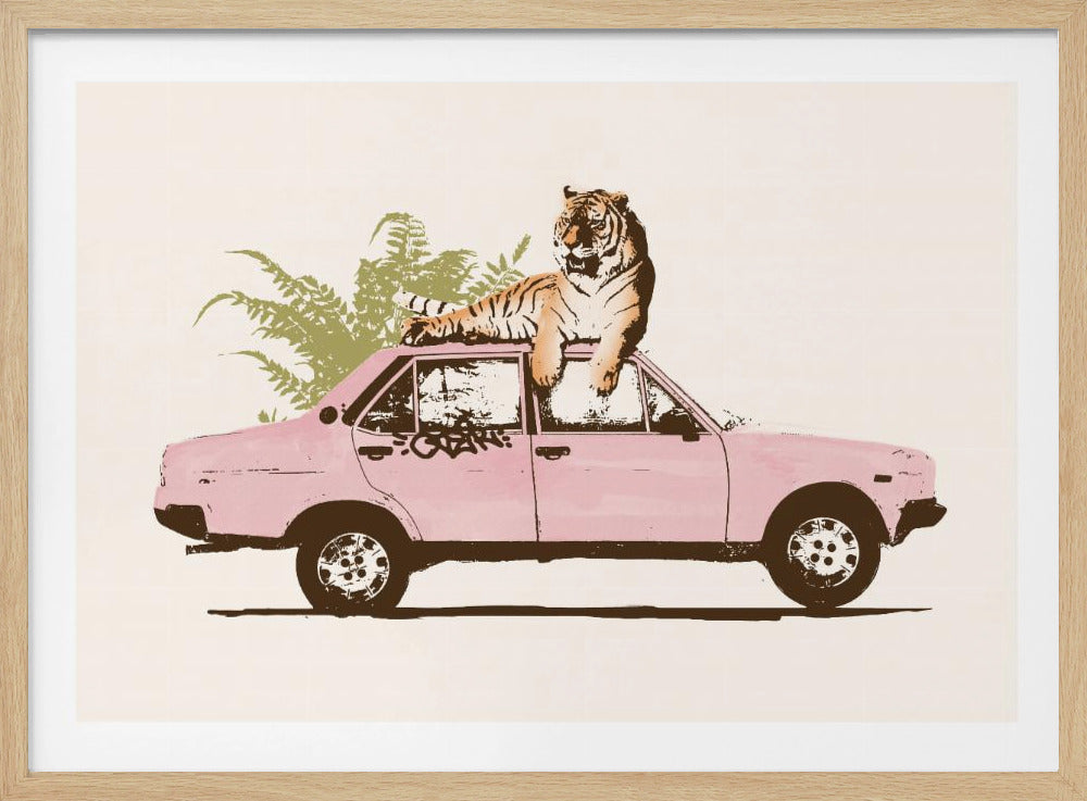 Tigre sur voiture | Affiche