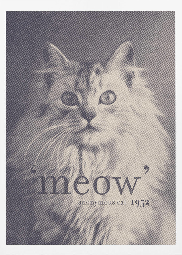 Chat avec citation célèbre | Affiche