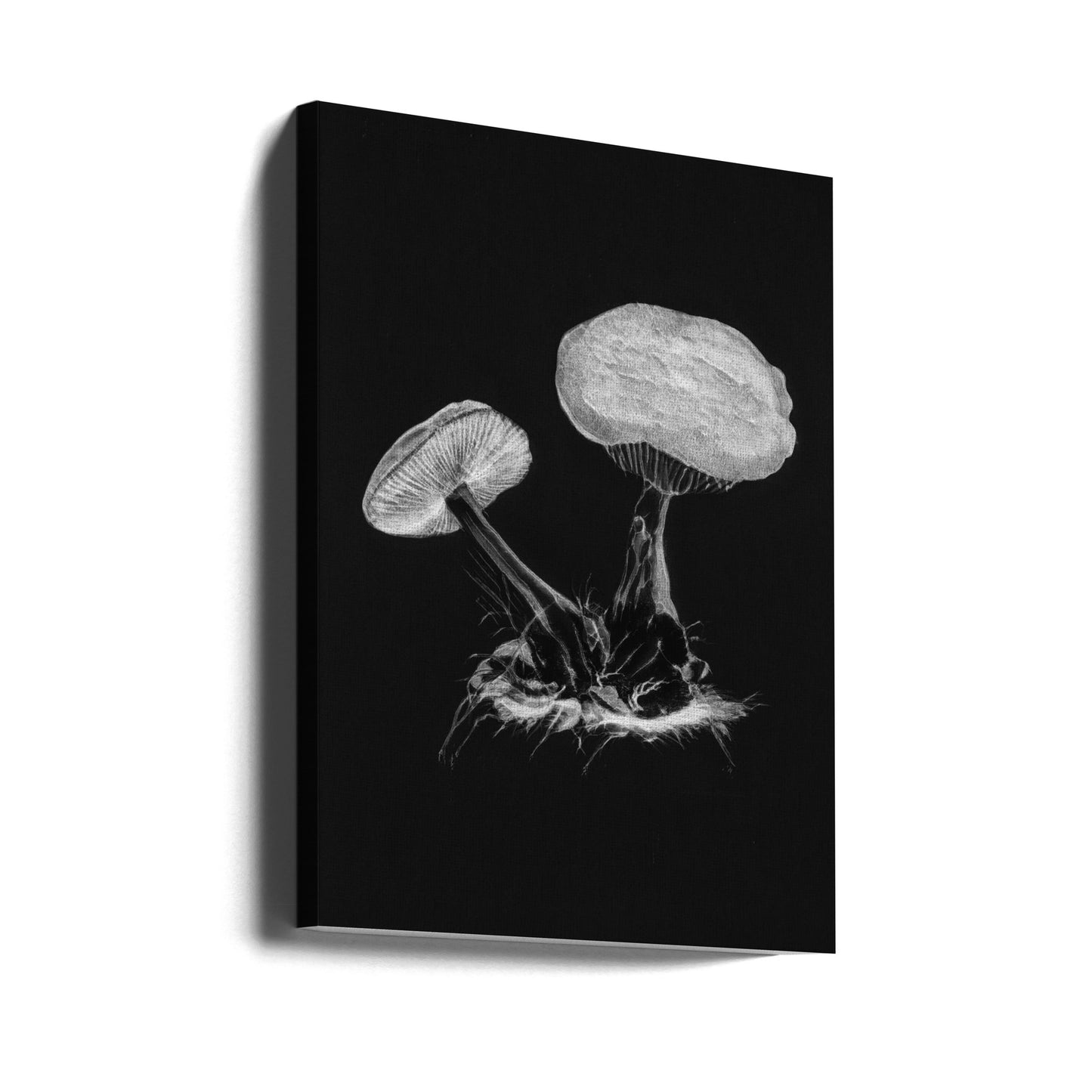 Vintage Violet Webcap Mushroom Dark BW | Wydruki na łótnie