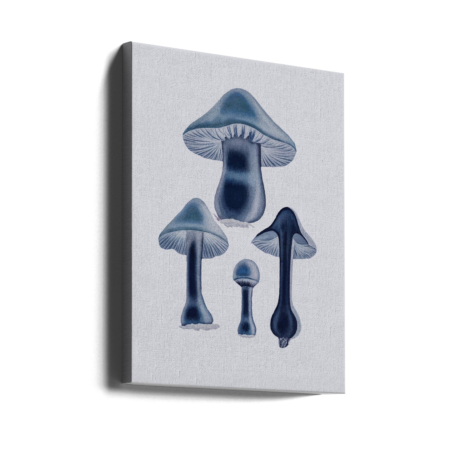 Agaricus Bulbosus - Sininen | Canvastaulut