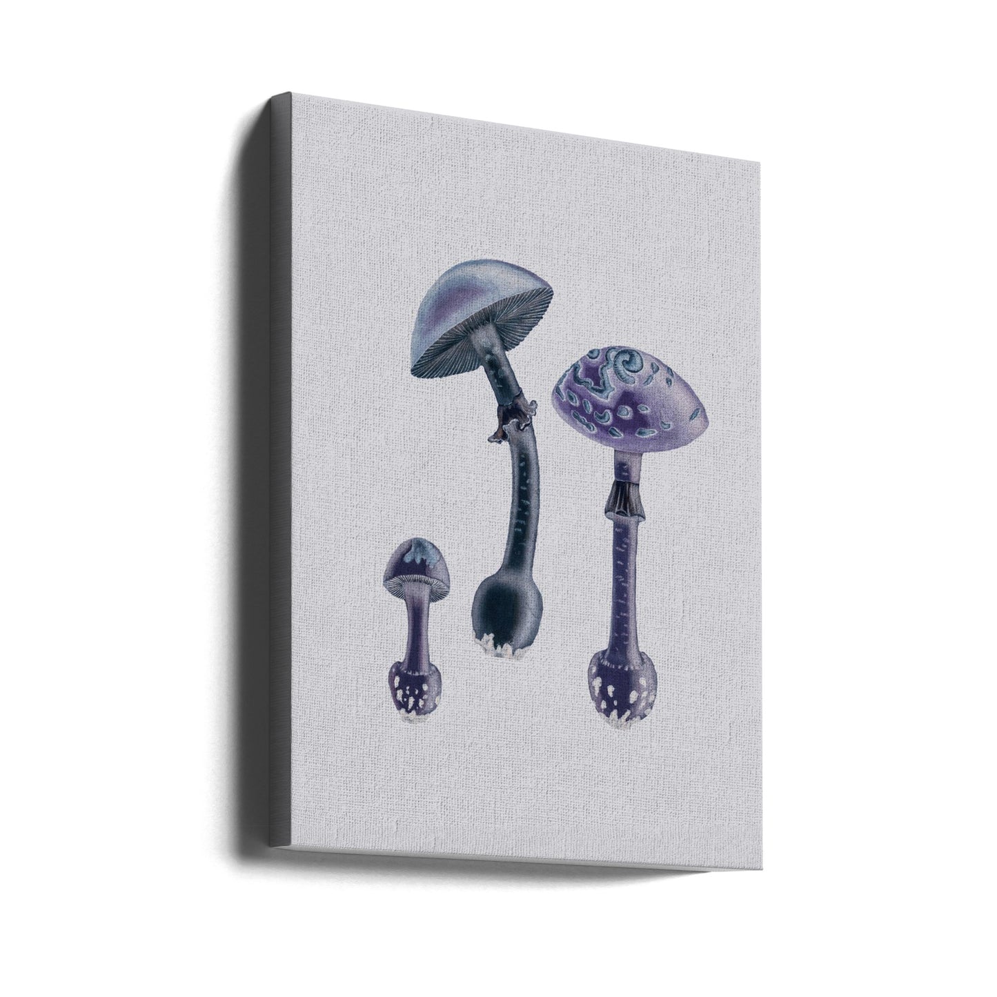 Amanita Muscaria Sfondo Bianco Viola | Stampe su Tela