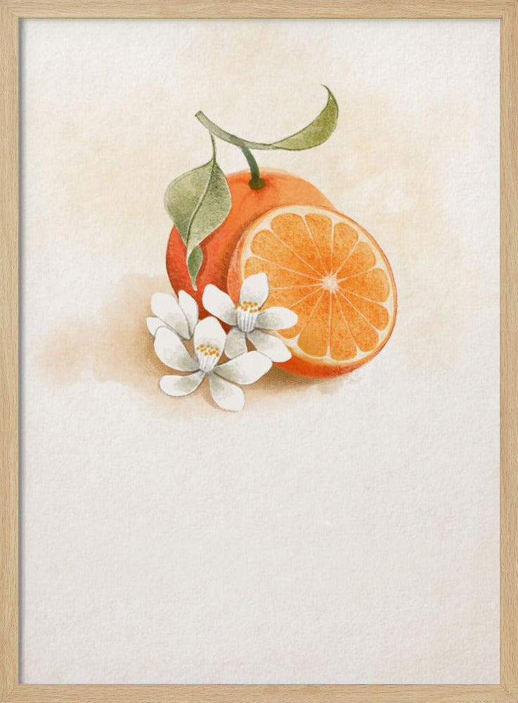 Saftige Orange | Poster - Kunstdruck