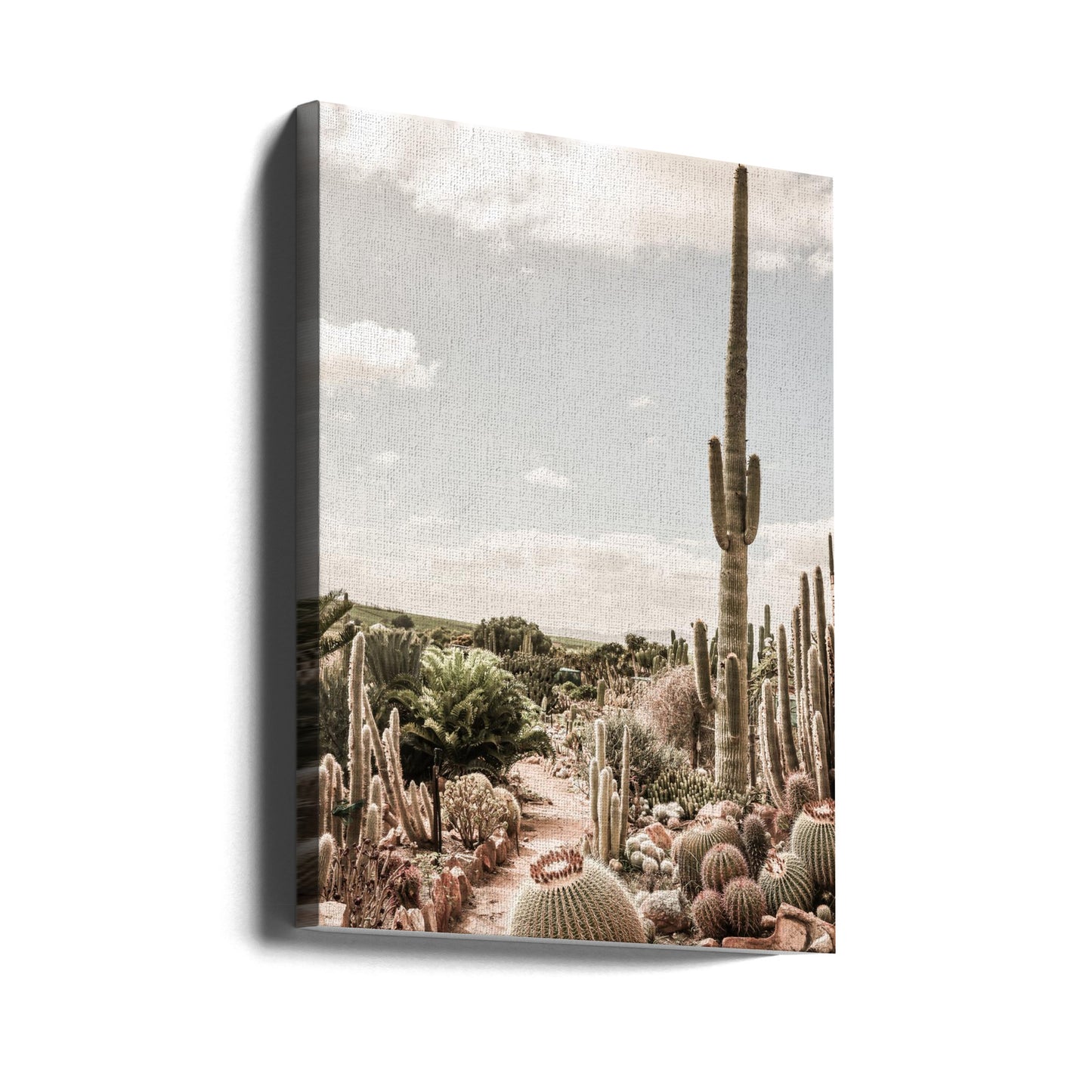 Fattoria di cactus | Stampe su Tela
