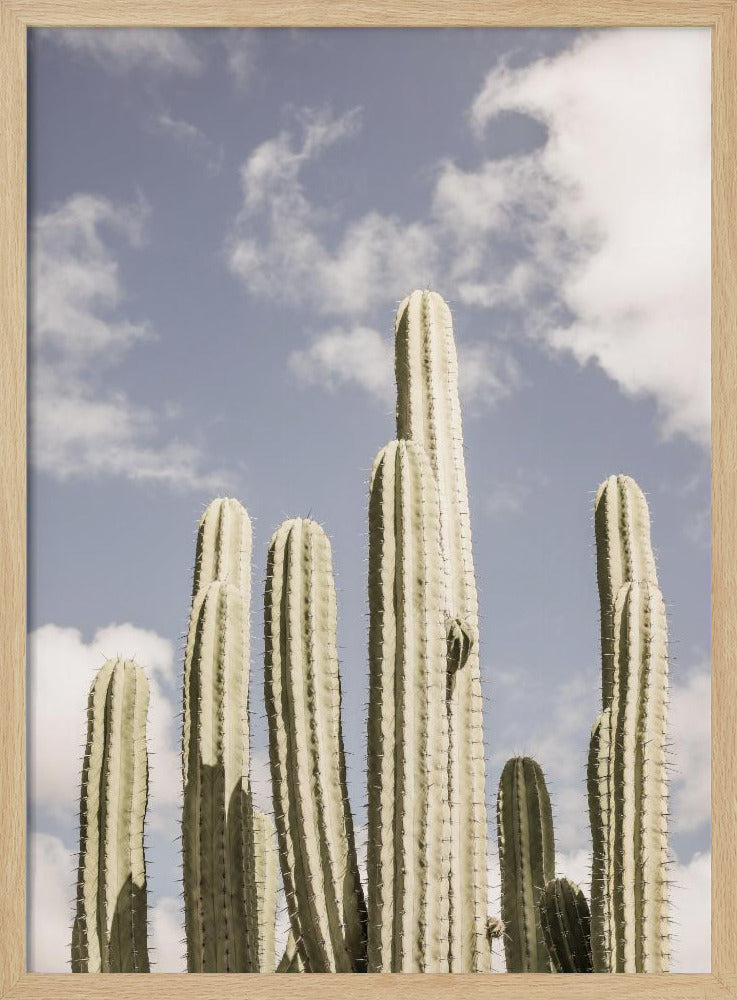 Desert Cathedral No2 | Poster